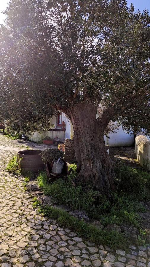 Вилла Ancos Little House -Sintra Countryside- Montelavar Экстерьер фото